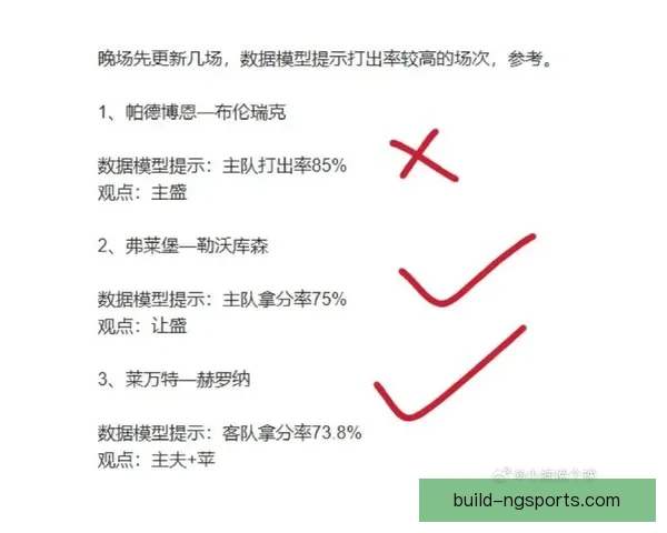 霍芬海姆1899俱乐部新赛季引援布局与战术升级全景解析加速腾飞