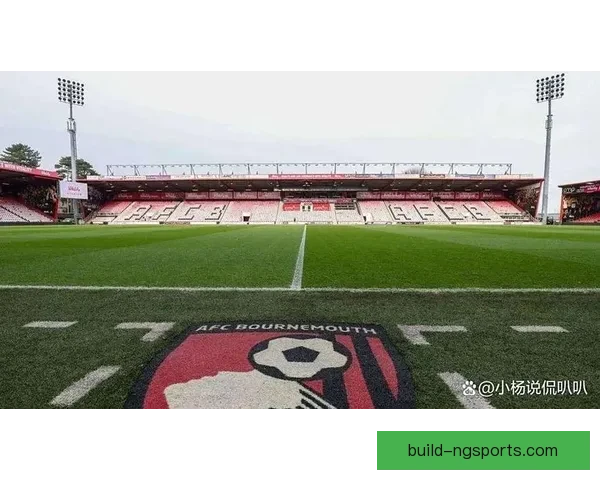 伯恩茅斯足球俱乐部的历史发展与未来前景分析